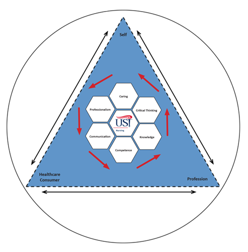 Image of Conceptual Framework