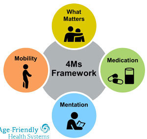 4Ms Framework Graphic