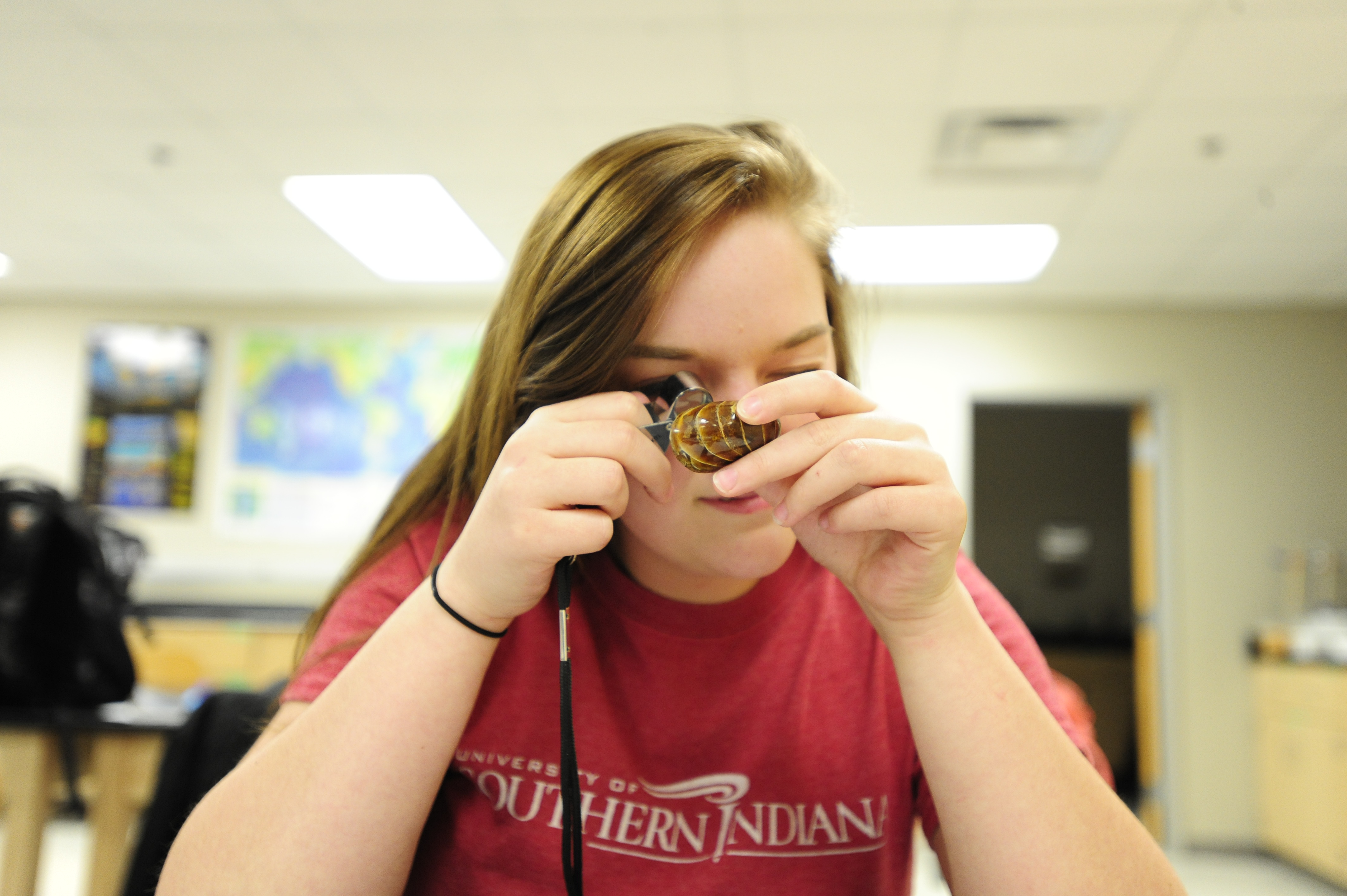 Careers in Environmental Science and Geology