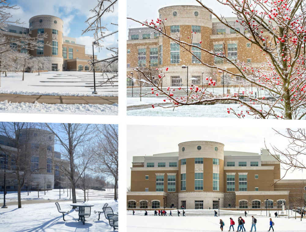 David L. Rice Library