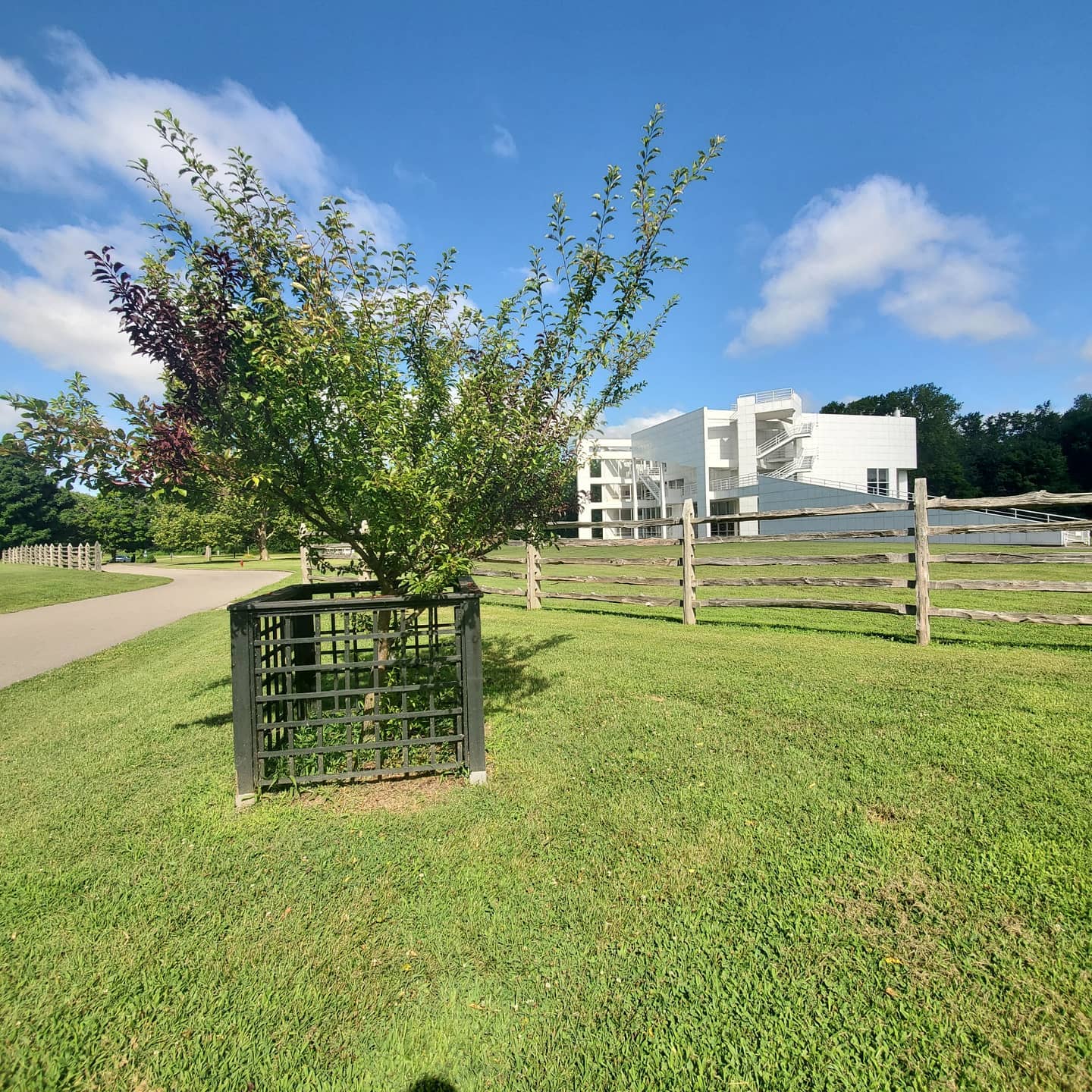 Sam Van Aken / Trees of 40 Fruit