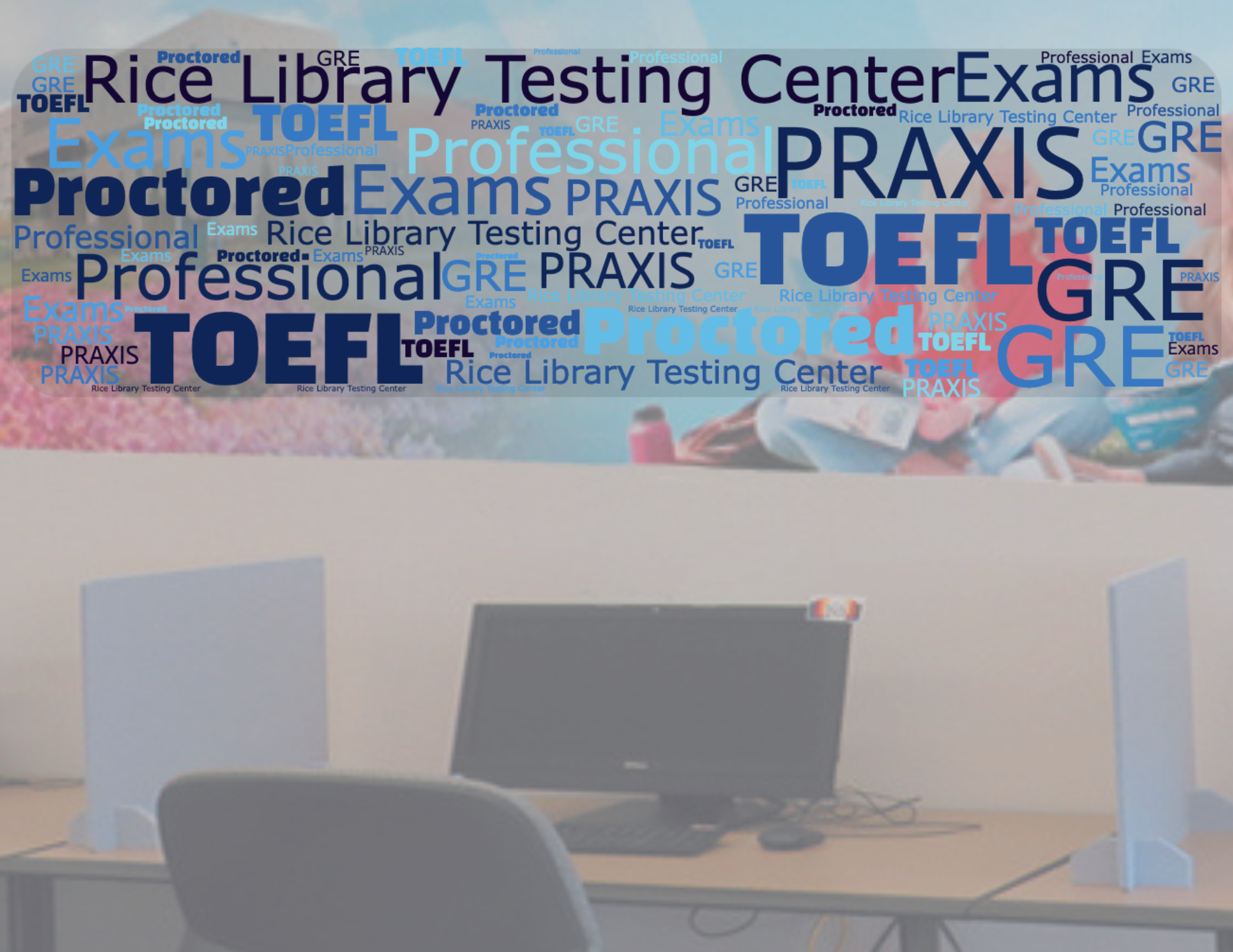 Professional Testing