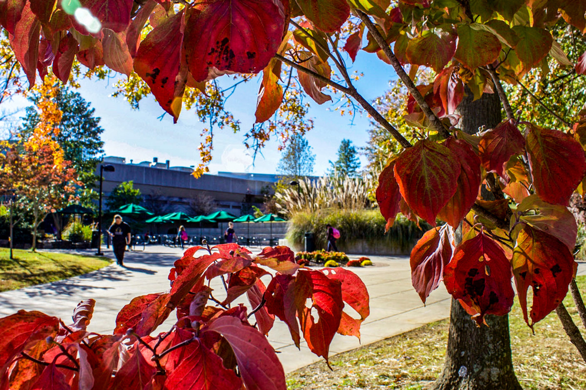 USI Board of Trustees approves 2020-21 operating budget