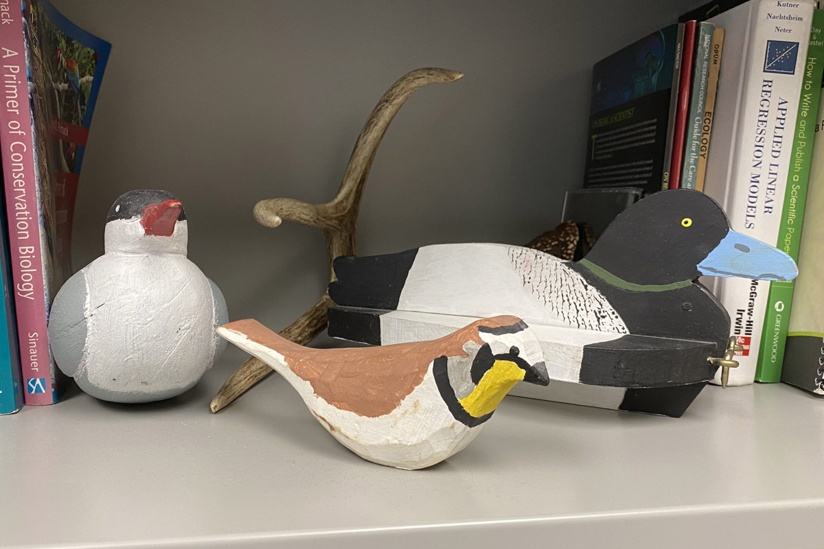 Office Curiosities: Nature lover