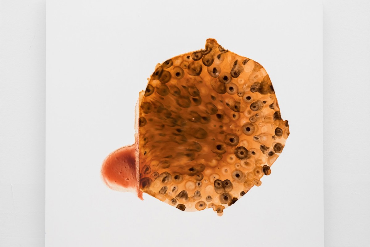 New Harmony Gallery hosts exhibition, Systems| Bodies| Parameters 