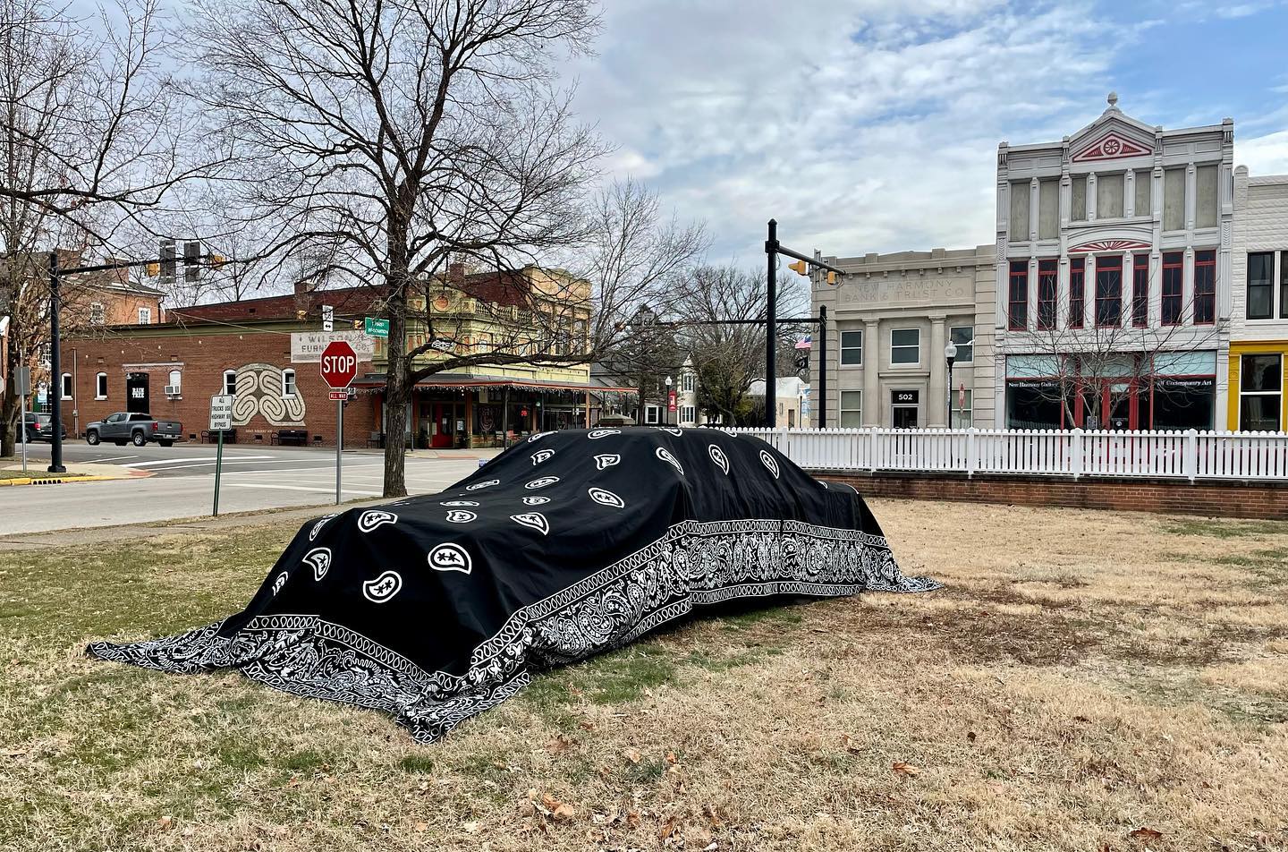 Vanessa Viruet / PAÑUELXS