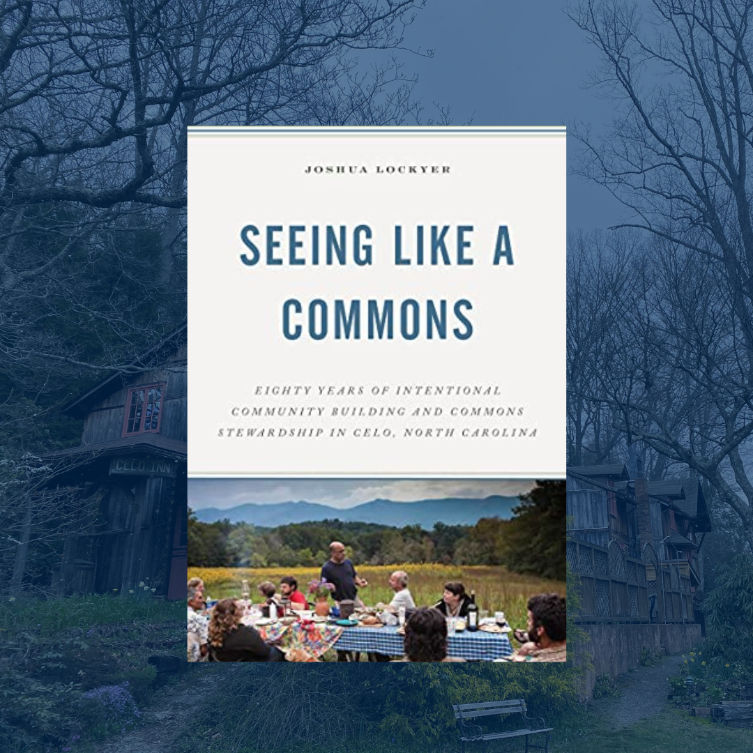 Seeing Like a Commons