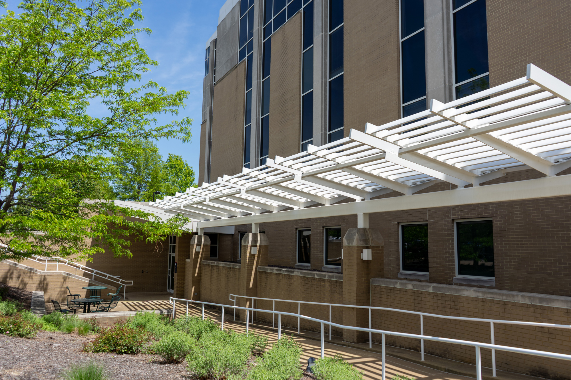 Campus life photo showing student activities and facilities