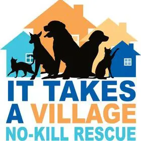It Takes a Village No-Kill Rescue
