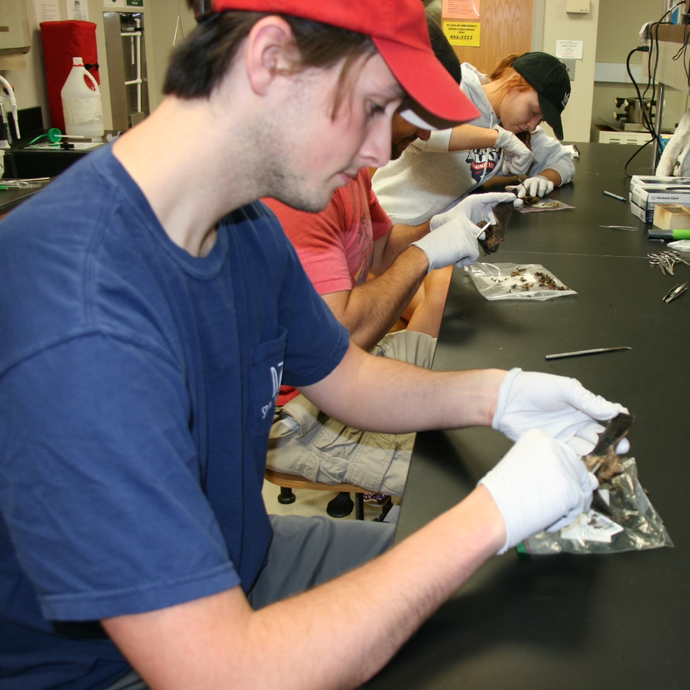 Barnett Research Award