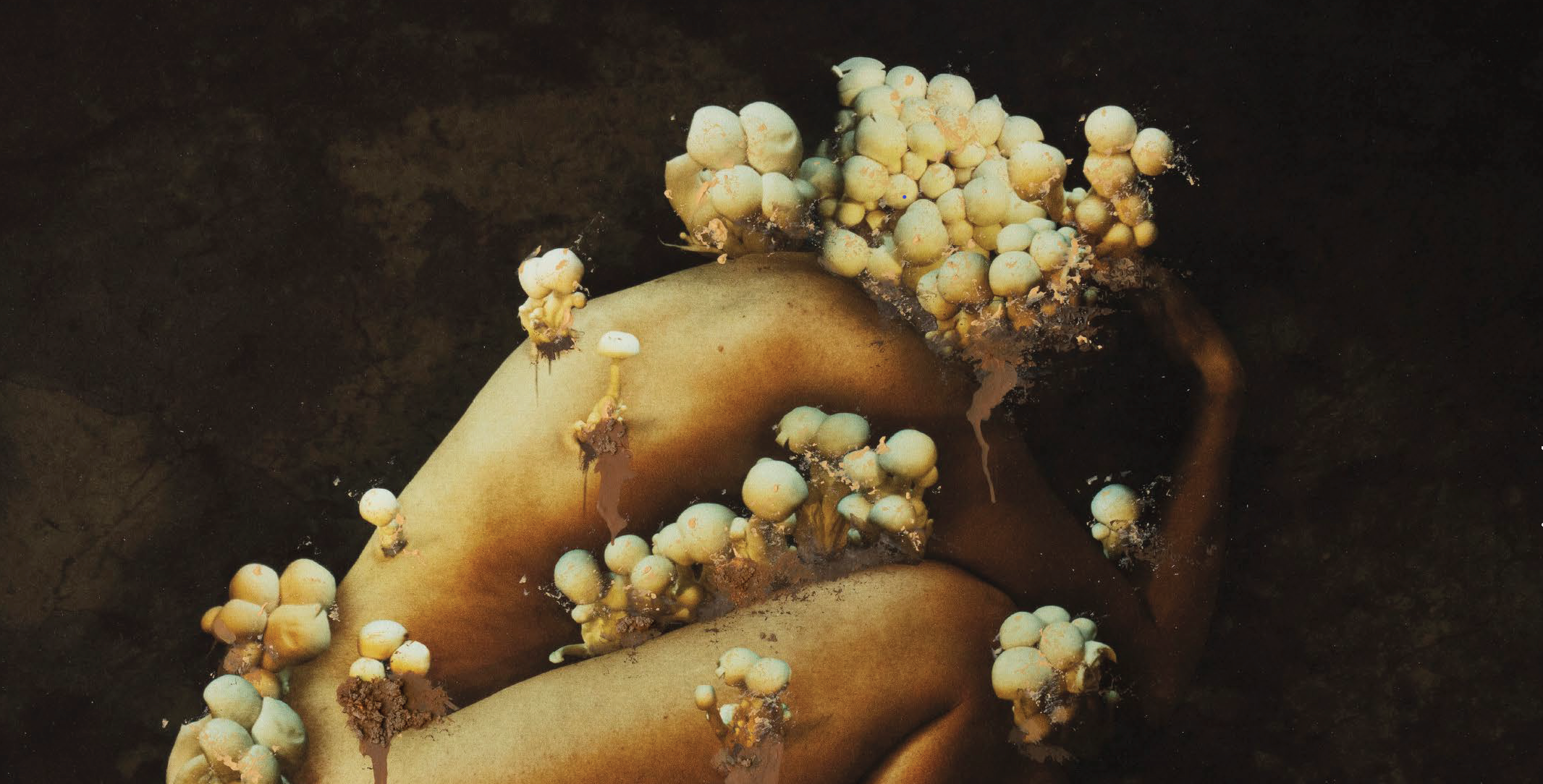 Two Exhibitions: Samsara: Brooke Shaden & Classic & Contemporary: Selections from the Paul Paletti Collection