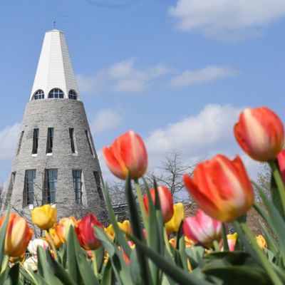 Successful Admitted Student Day incorporates all of campus