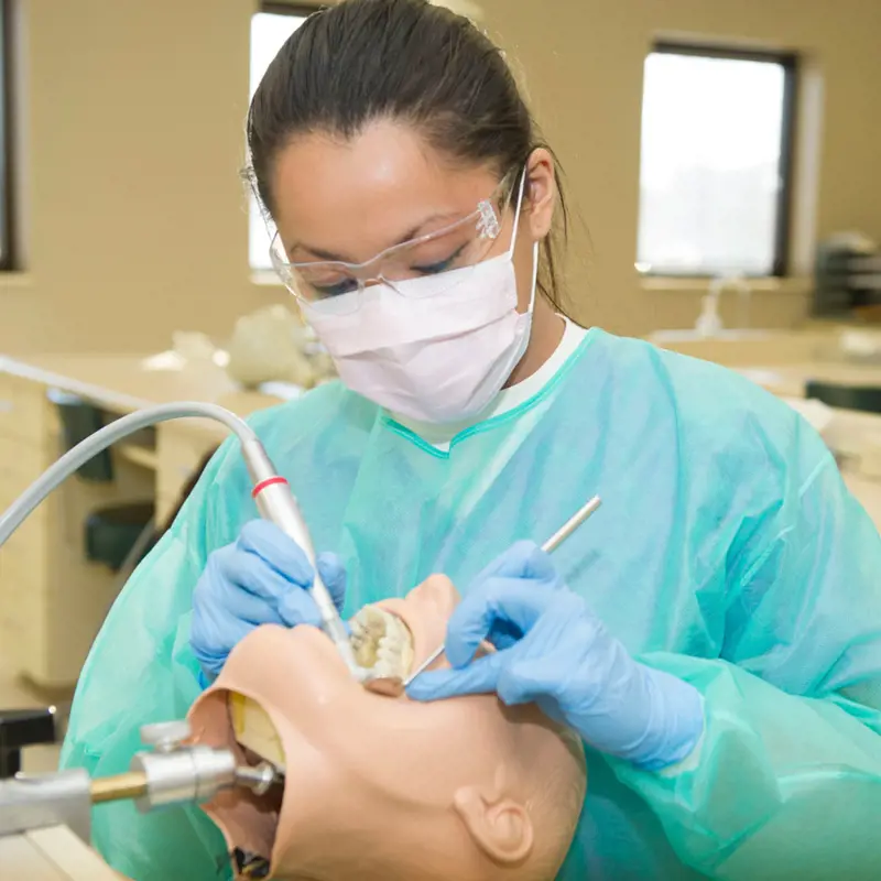 dental-hygiene-university-of-southern-indiana