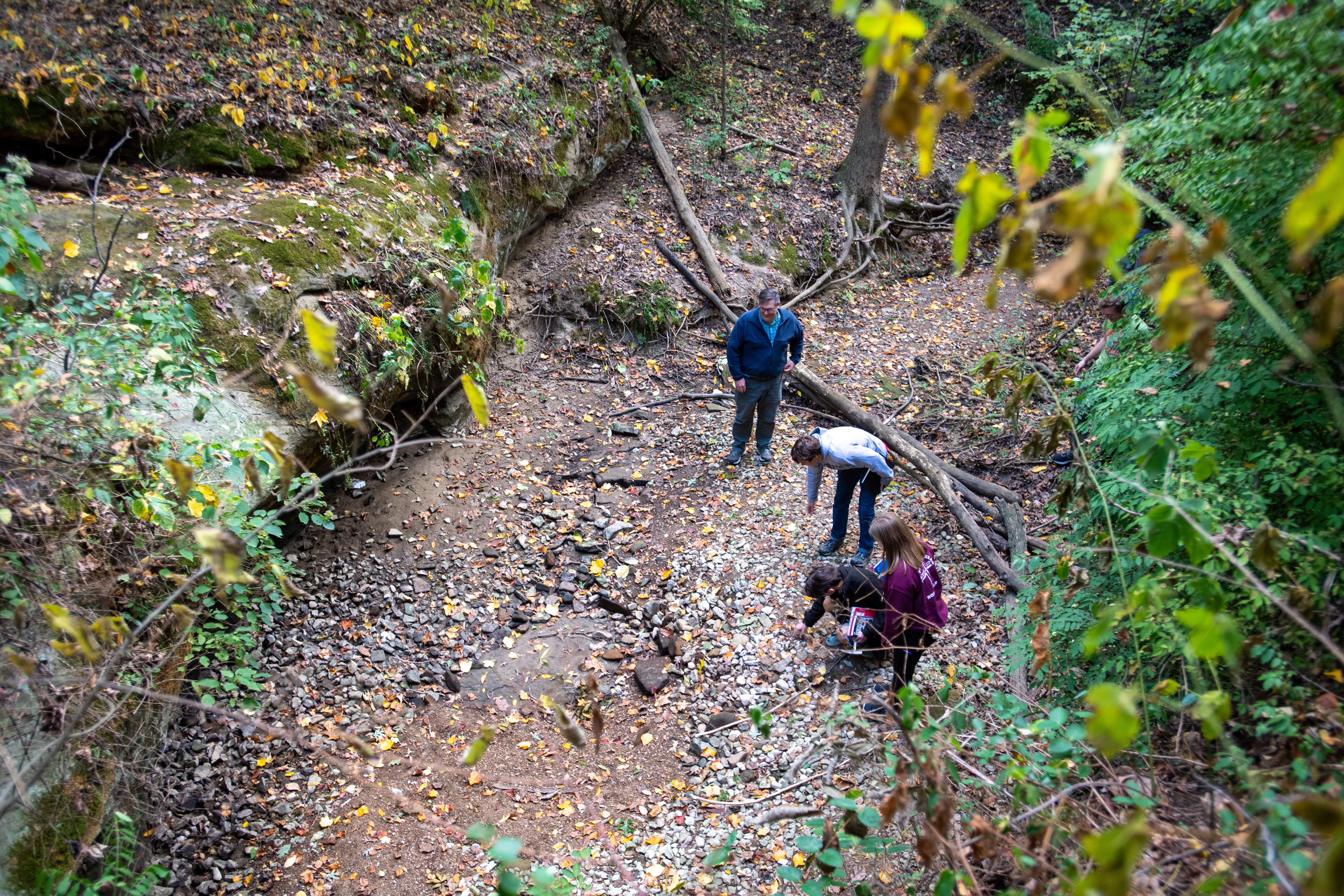 Environmental Science