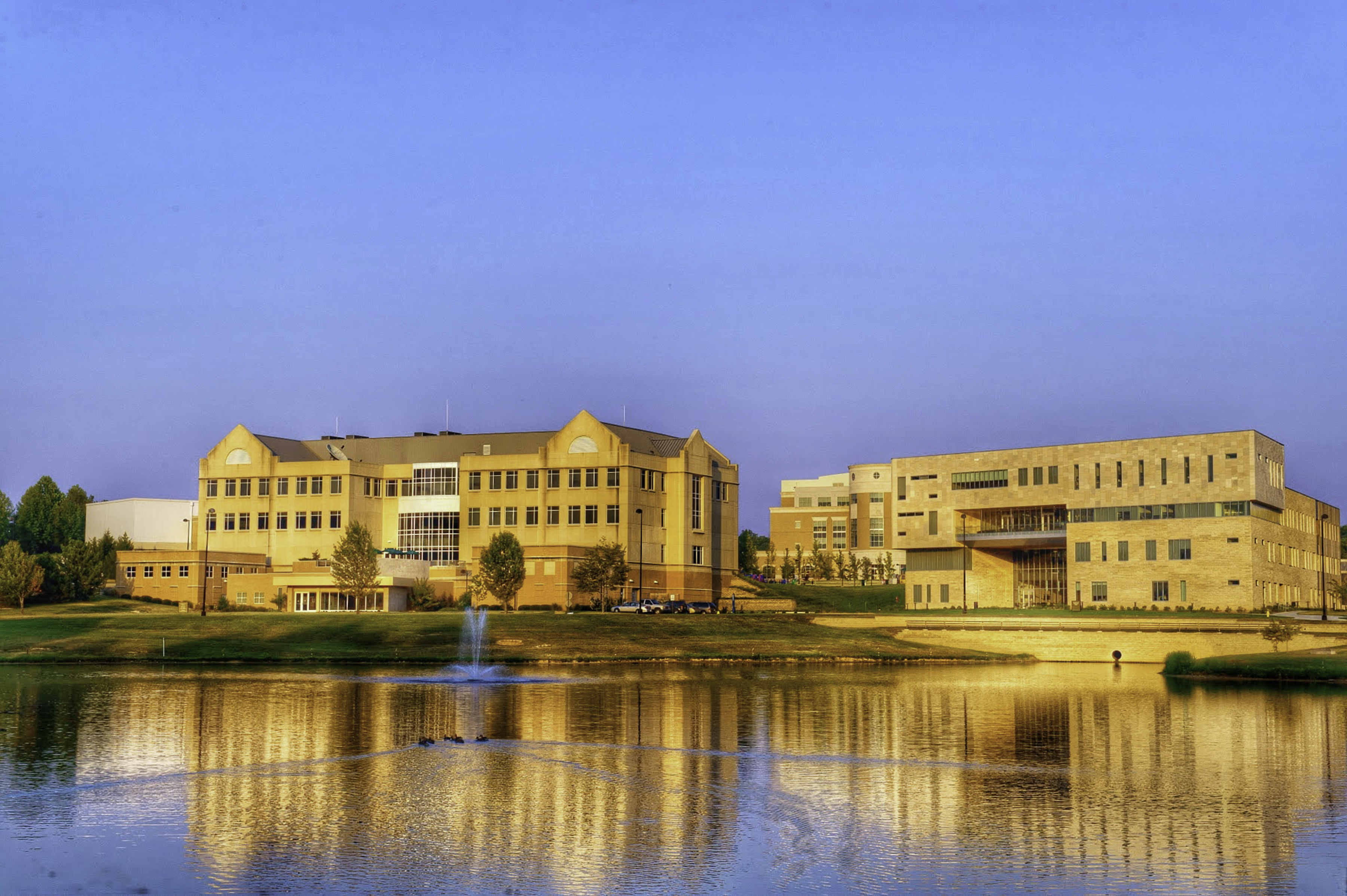 Pathways Affinity Days