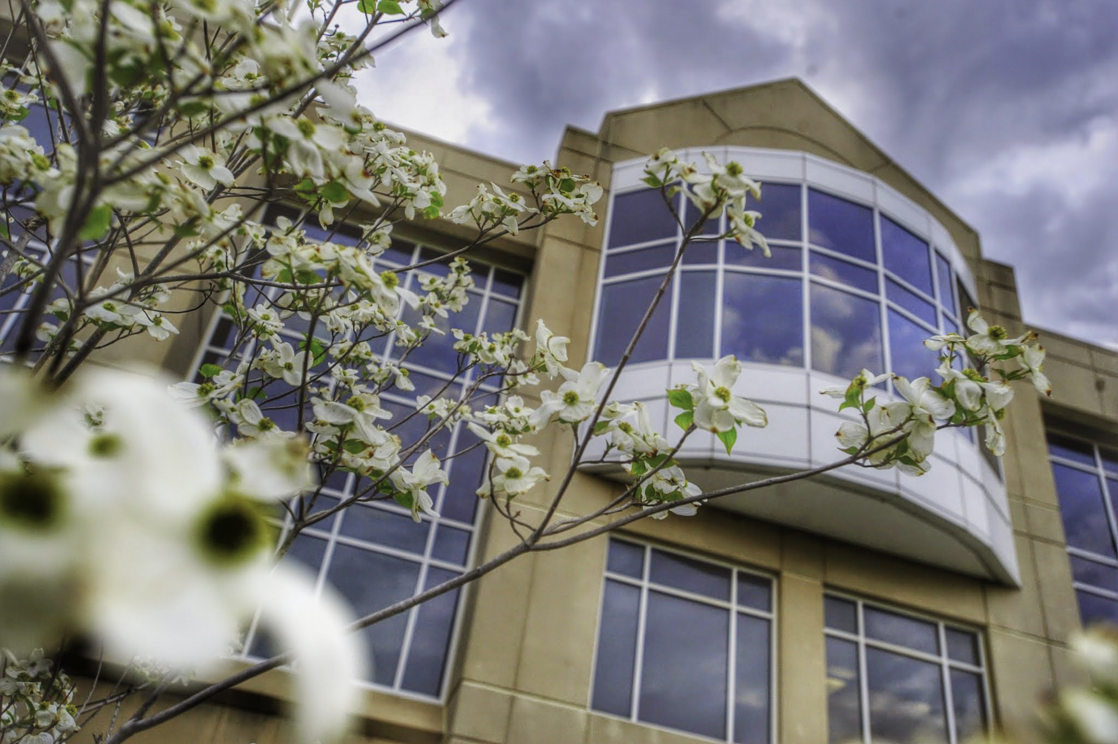 Transfer Students-Spring