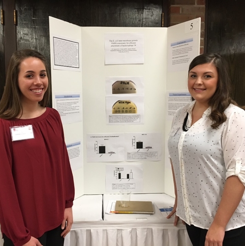 Provost's Office Travel Funding