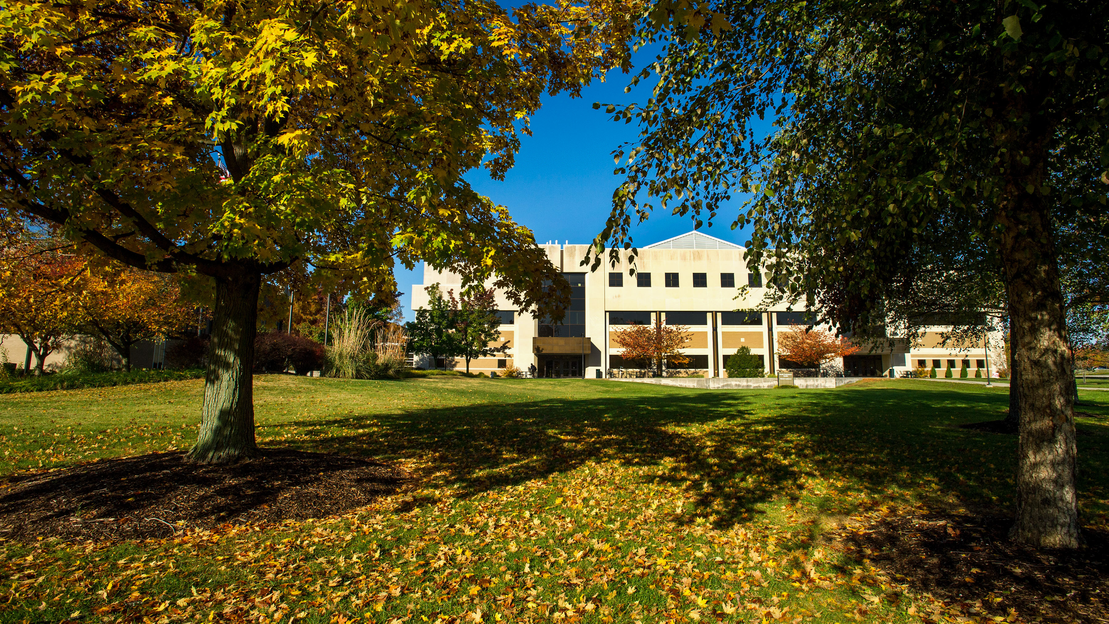 Kinney College of Nursing and Health Professions Advising Center