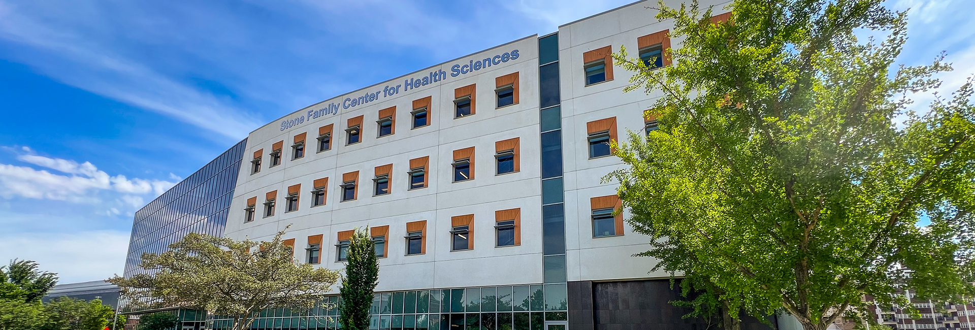 MSOT Student Resources