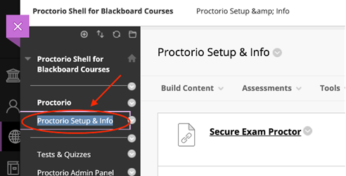 Screenshot of Proctorio Setup and Info Button on Blackboard